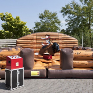 rodeostier huren rodeostier